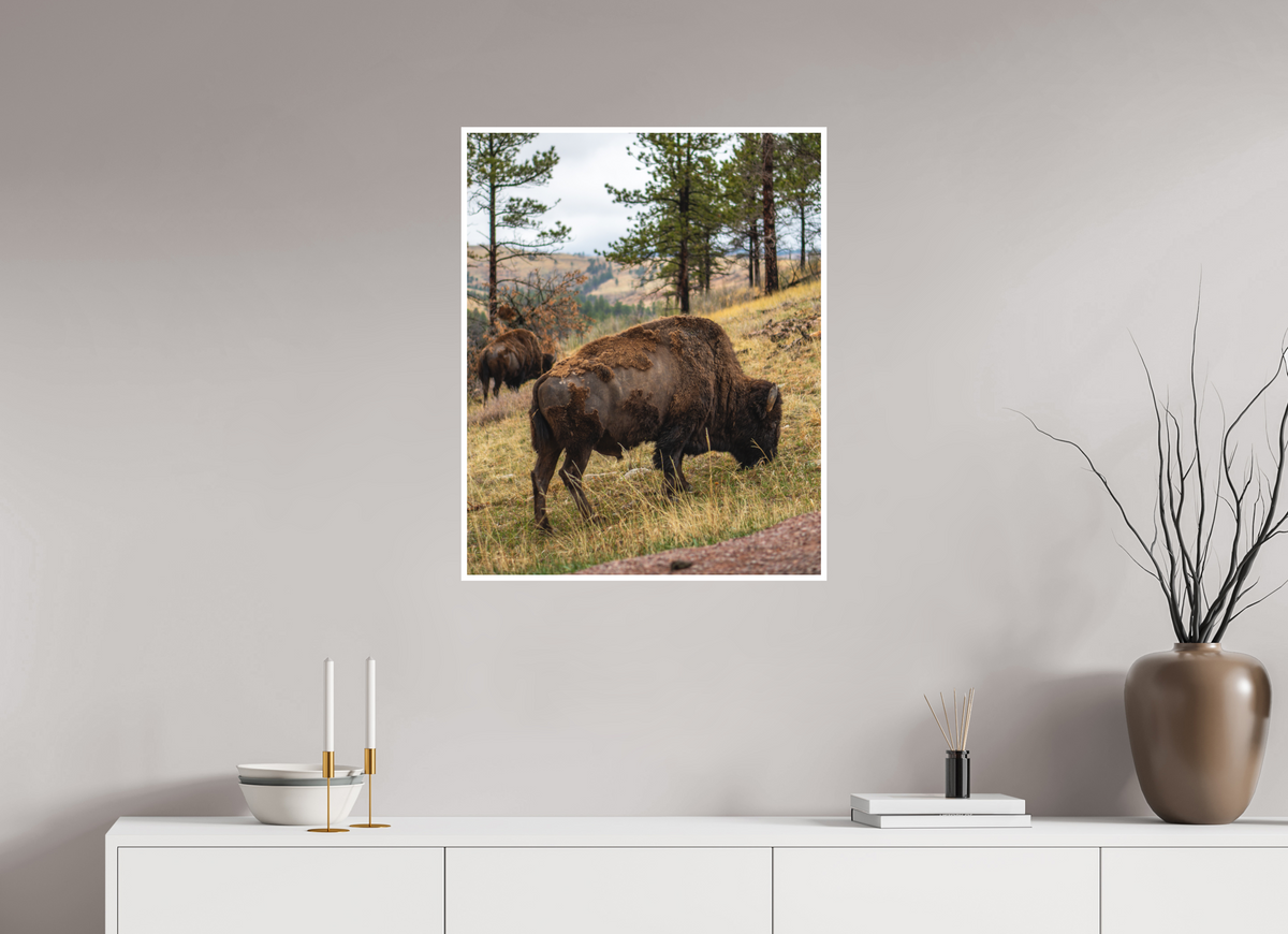 24 x 30″, No Frame - Matte - White Edge Bison & Co