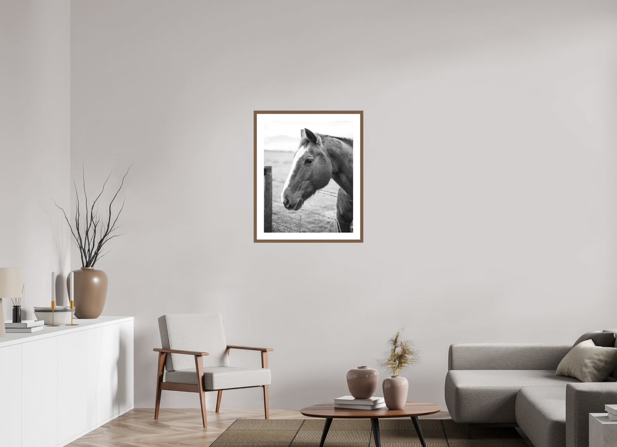 24 x 30″, Walnut - Matte The Calm Before the Horse
