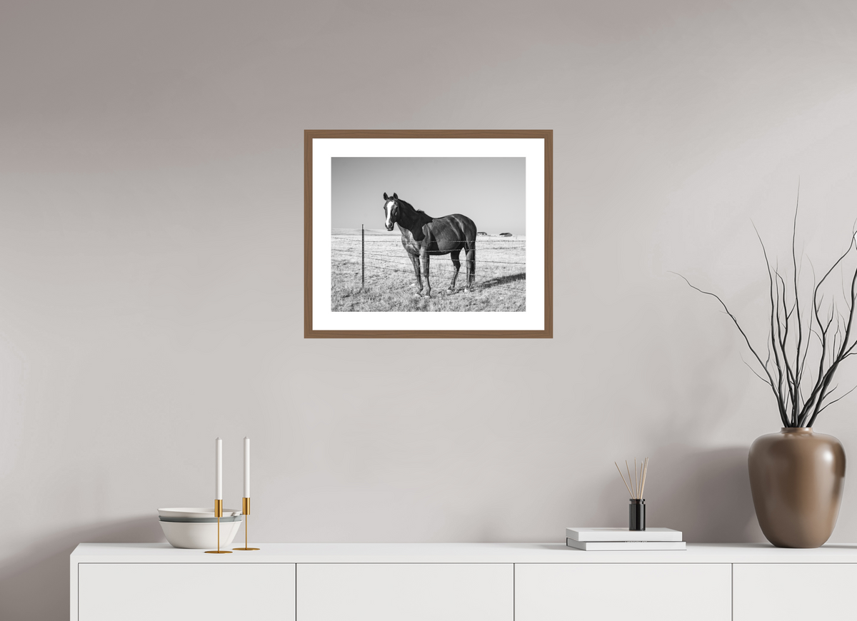 20 x 16″, Walnut - Matte Quarter Horse