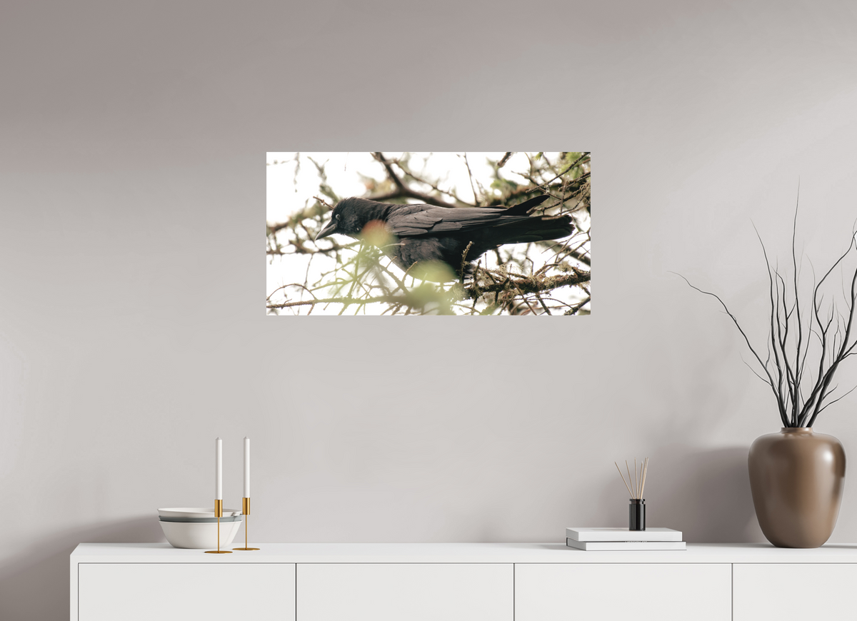 32 x 16″, Canvas Just a Crow