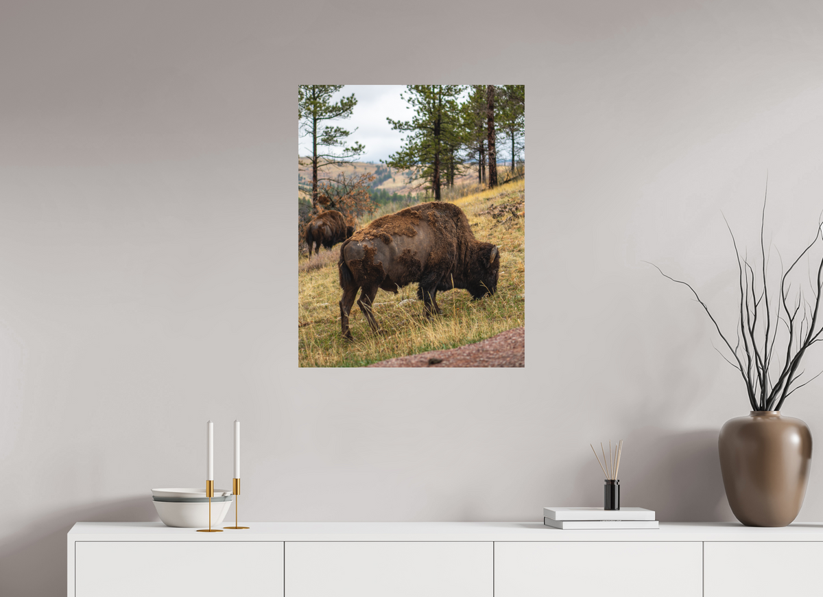 24 x 30″, No Frame - Matte Bison & Co