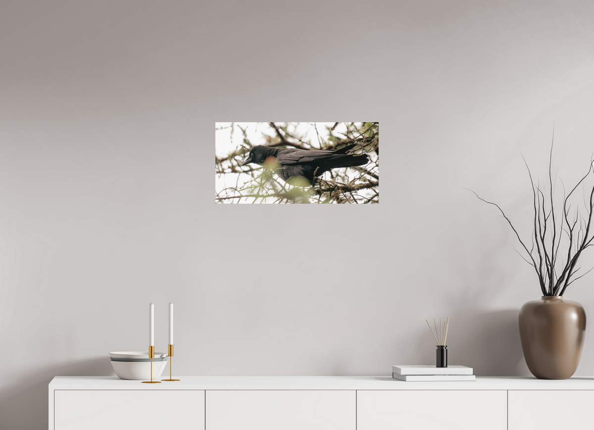 24 x 12″, No Frame - Matte Just a Crow