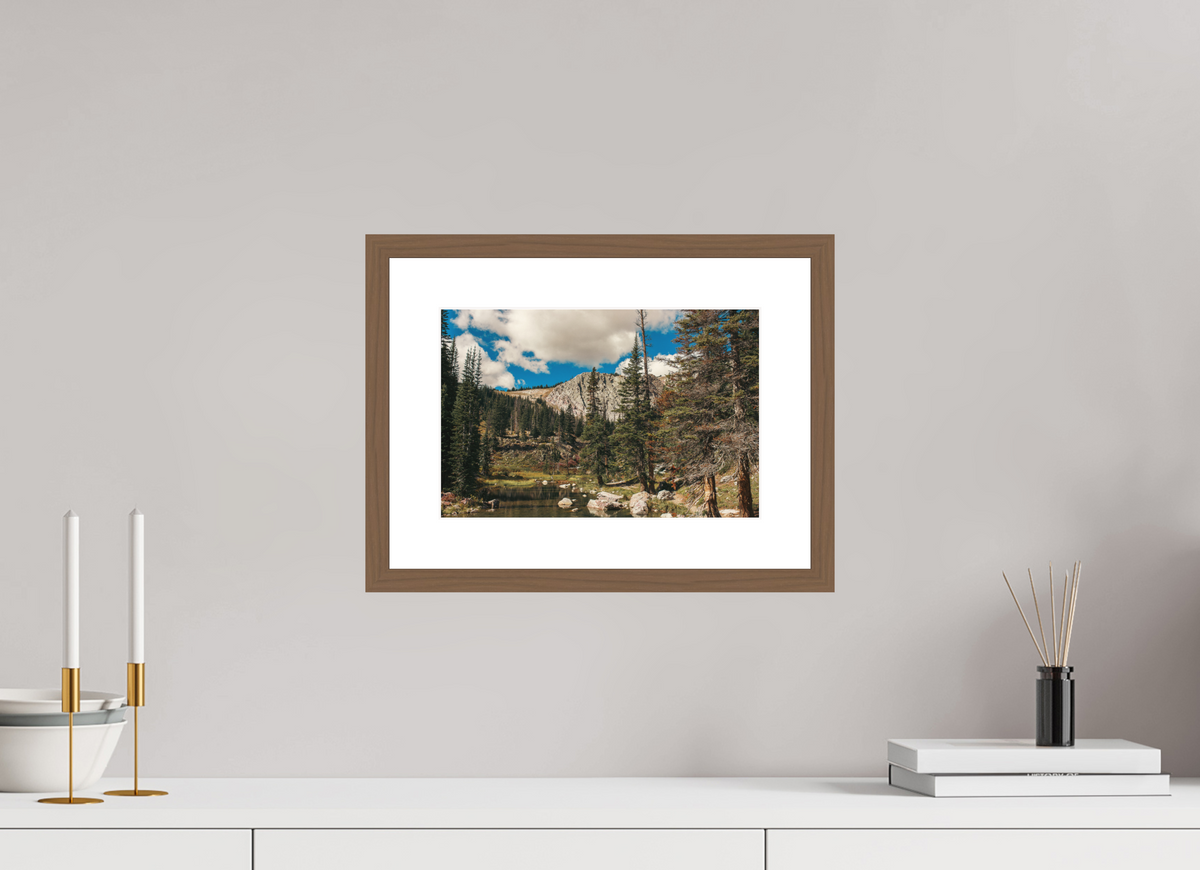 12 x 8″, Walnut - Matte A Short Walk