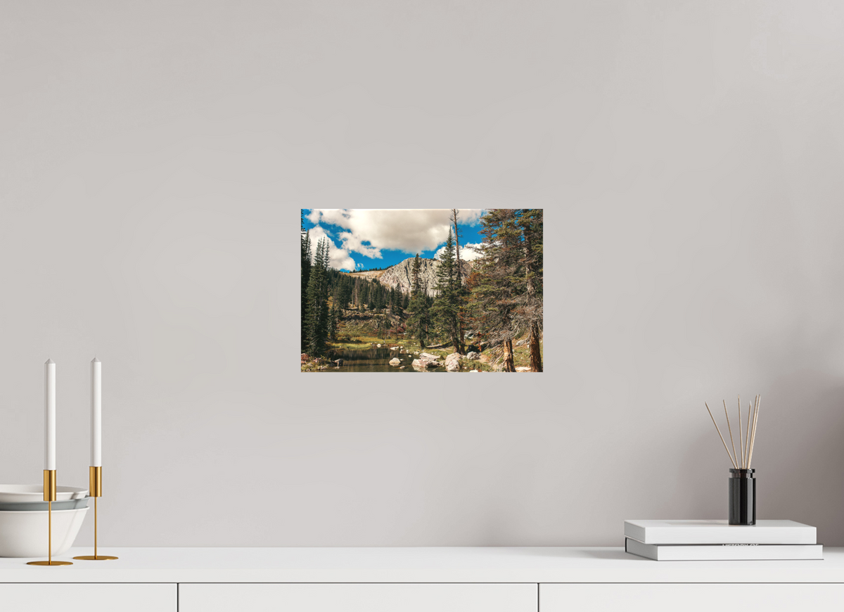 12 x 8″, Canvas A Short Walk