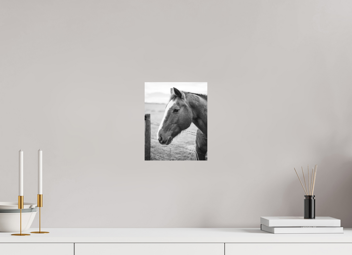 8 x 10″, No Frame - Matte The Calm Before the Horse
