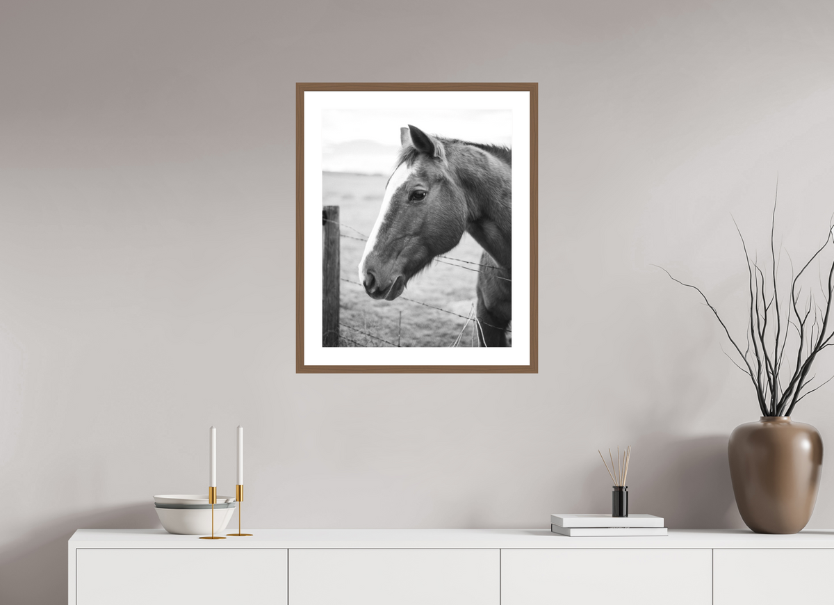 20 x 25″, Walnut - Matte The Calm Before the Horse