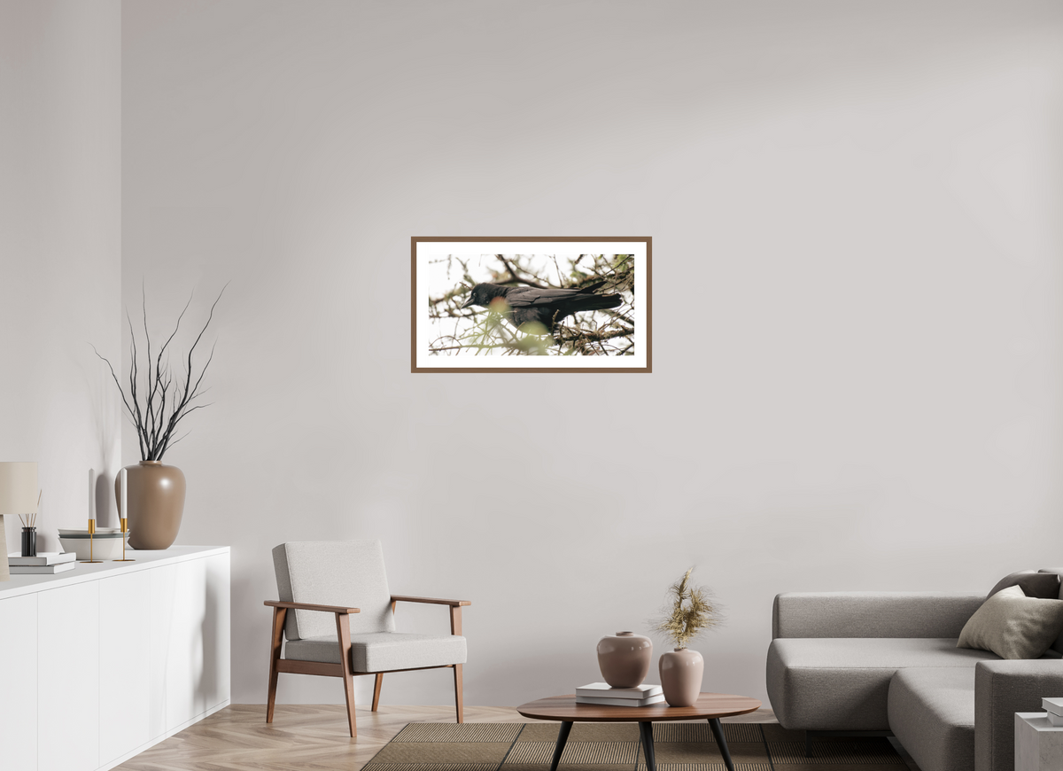 32 x 16″, Walnut - Matte Just a Crow