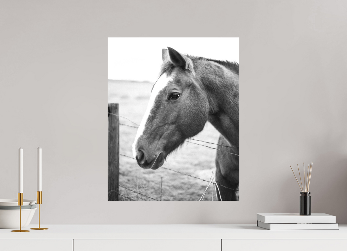 16 x 20″, Canvas The Calm Before the Horse