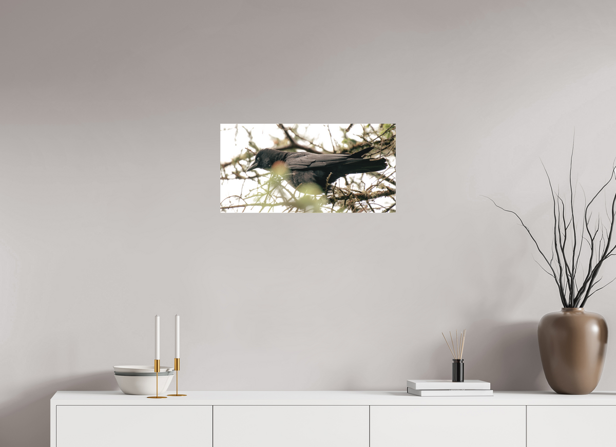 24 x 12″, Canvas Just a Crow