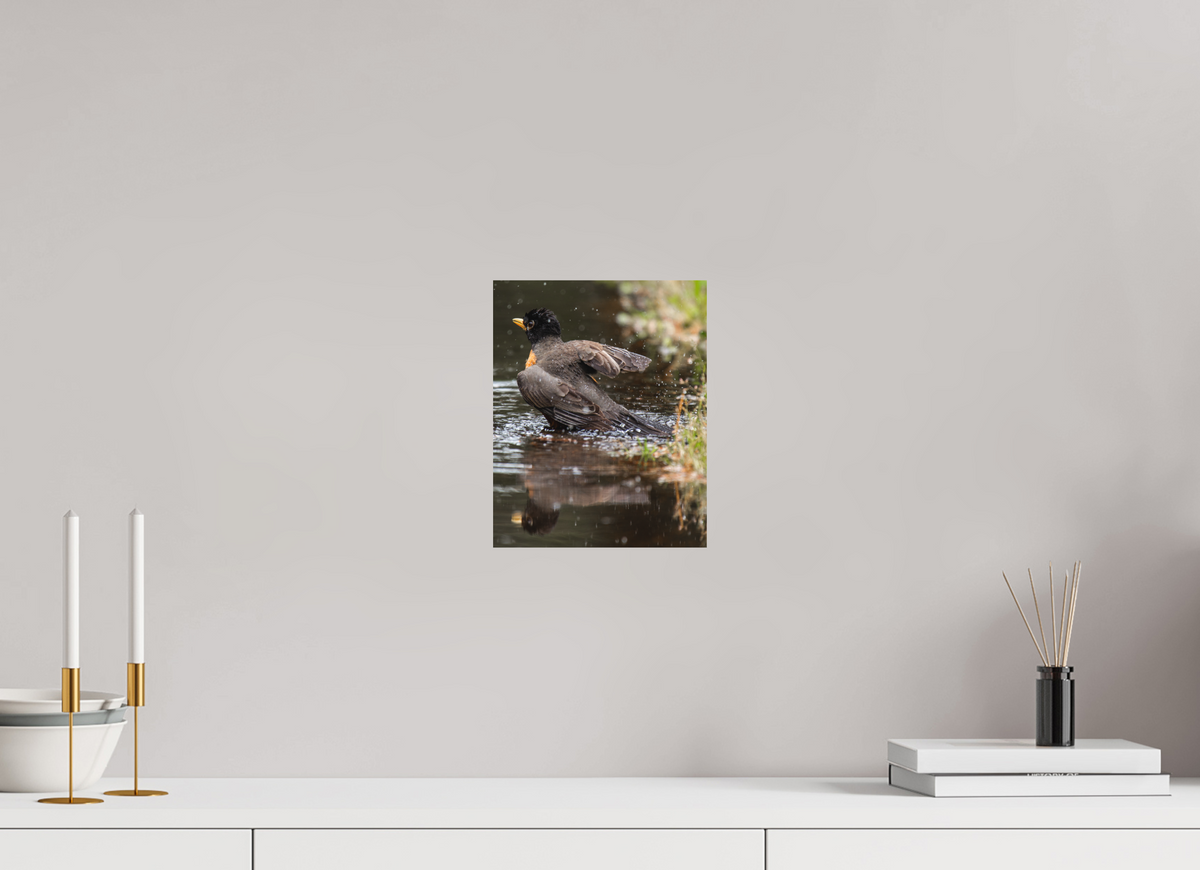 8 x 10″, No Frame - Matte The American Robin
