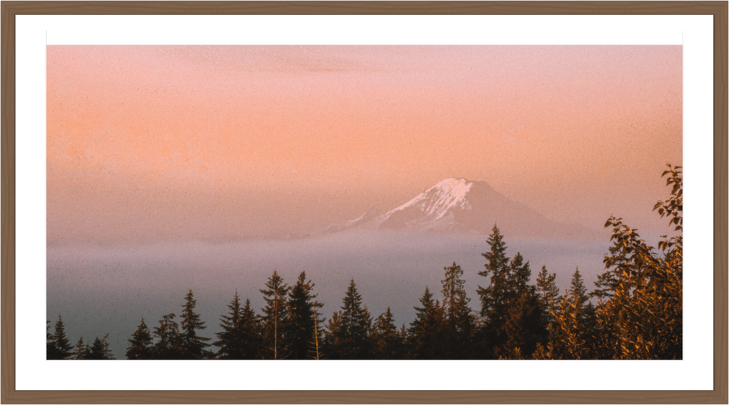 Main image Mt Rainier