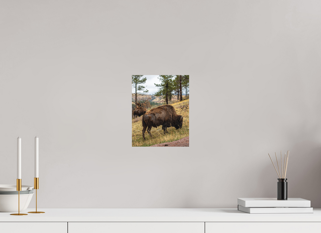 8 x 10″, No Frame - Matte Bison & Co