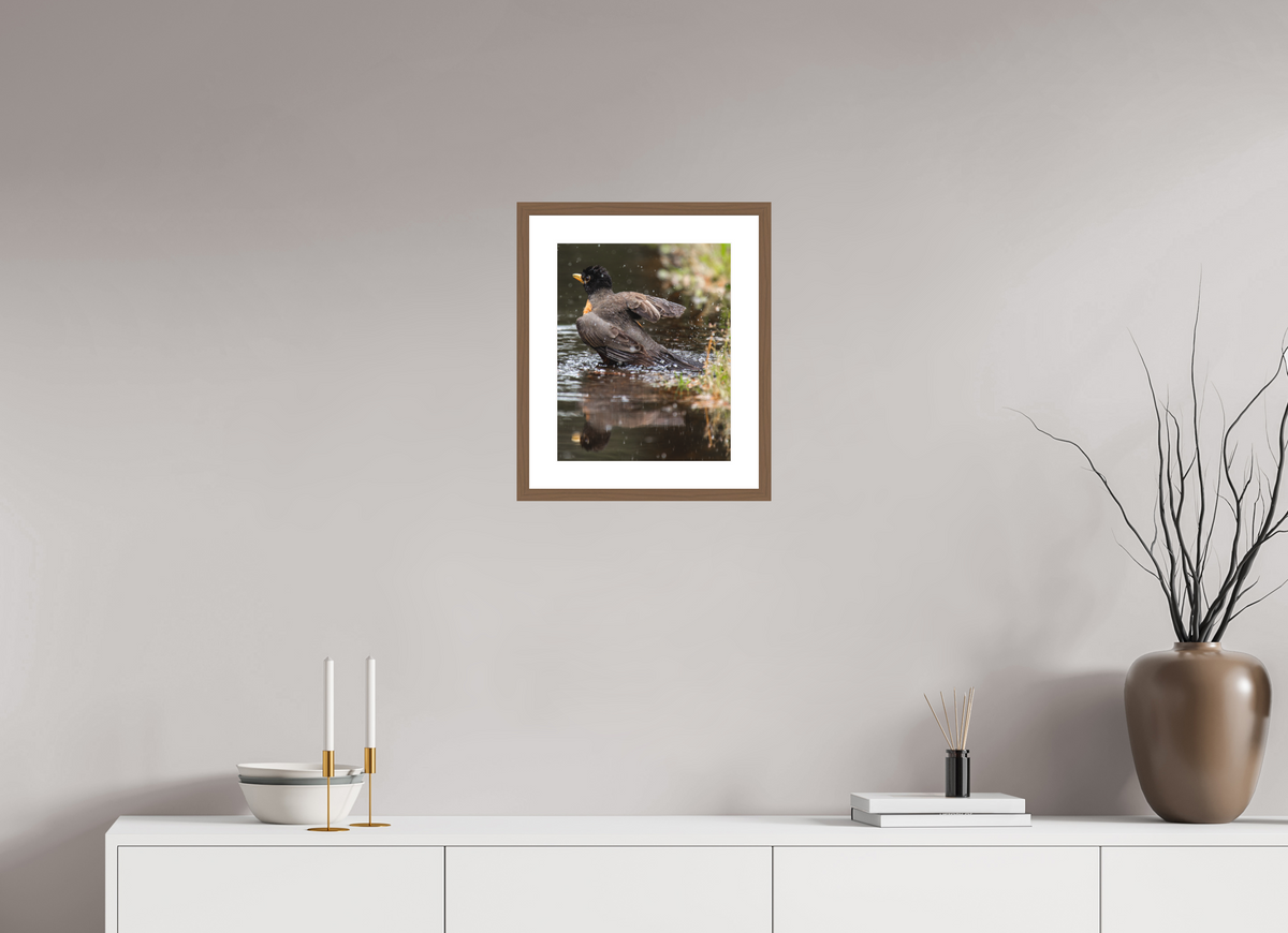 12 x 15″, Walnut - Matte The American Robin