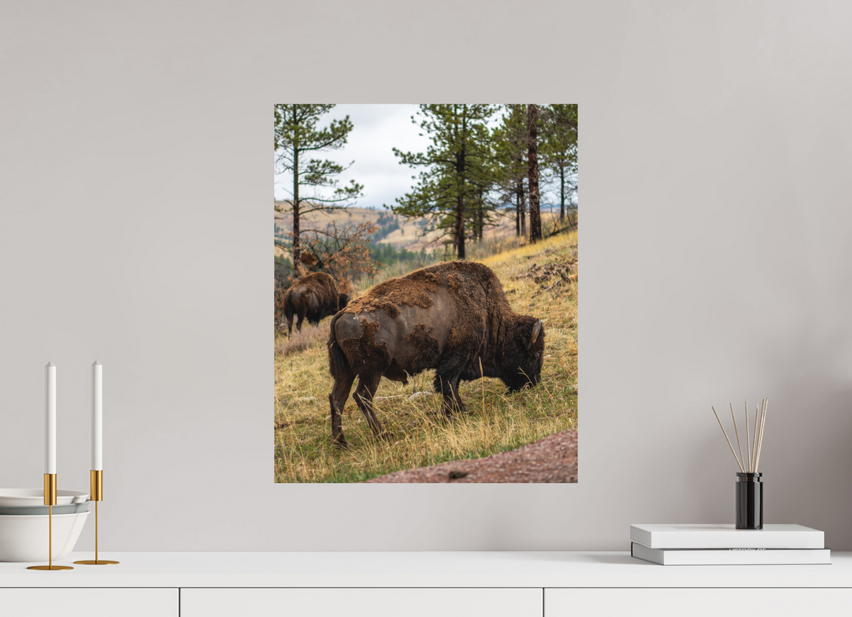 16 x 20″, No Frame - Matte Bison & Co