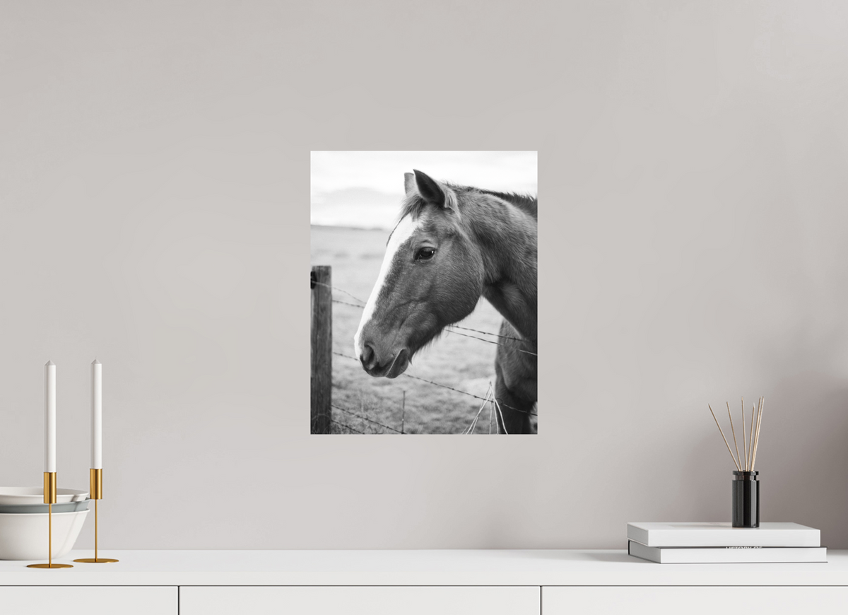 12 x 15″, No Frame - Matte The Calm Before the Horse