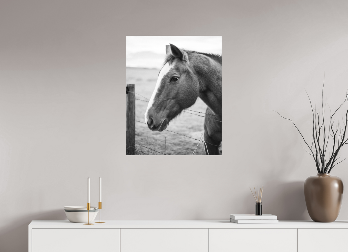 24 x 30″, No Frame - Matte The Calm Before the Horse