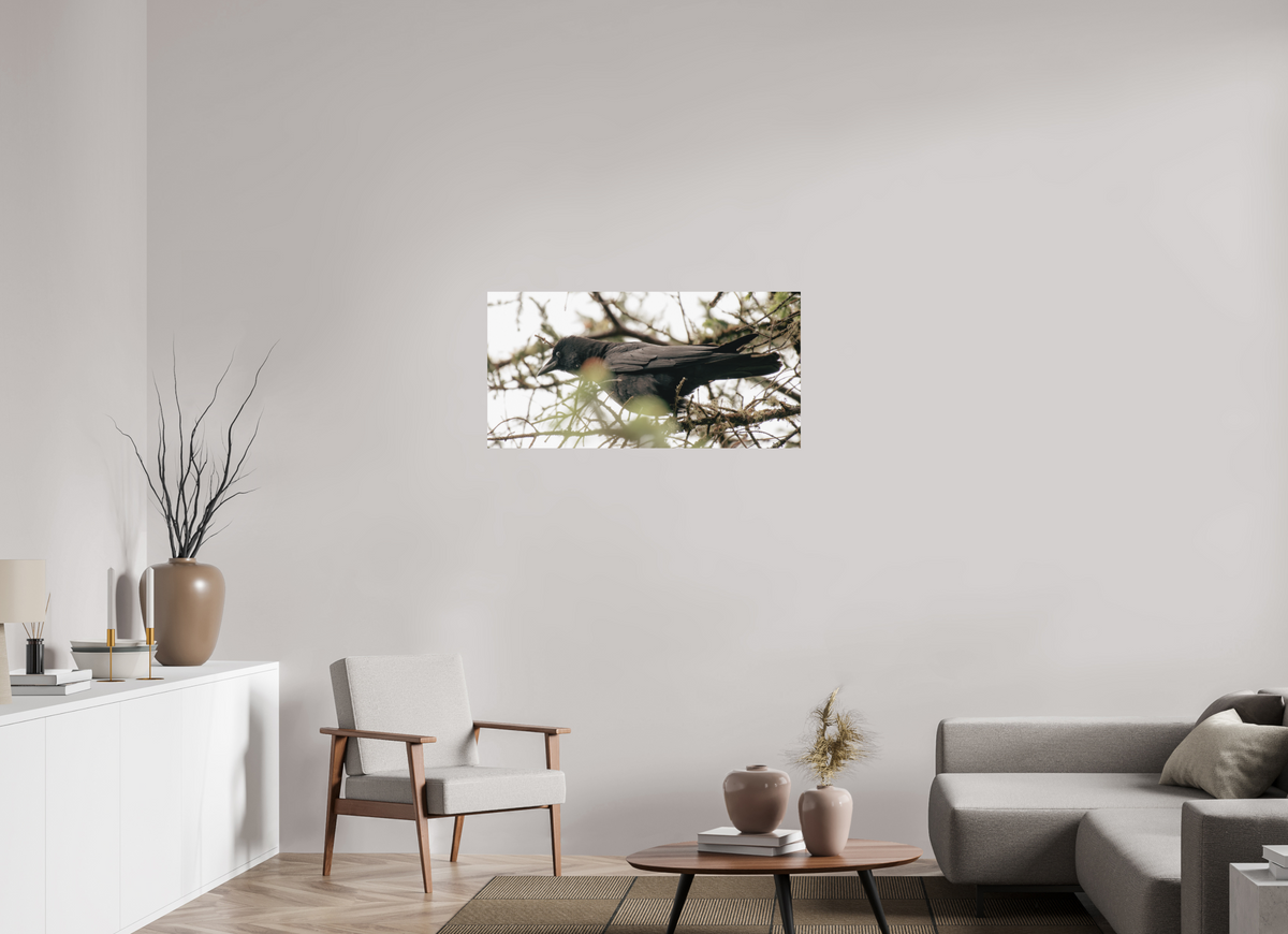 40 x 20″, No Frame - Matte Just a Crow
