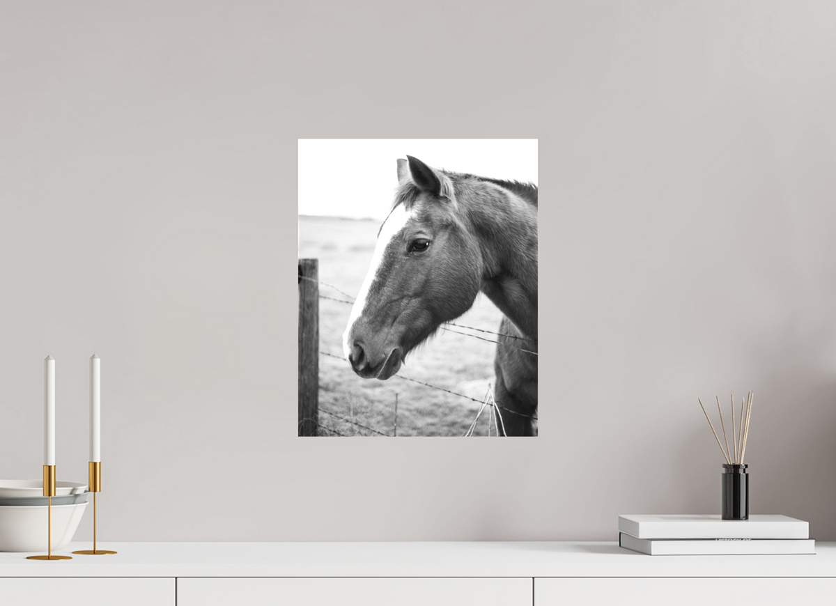 12 x 15″, Canvas The Calm Before the Horse