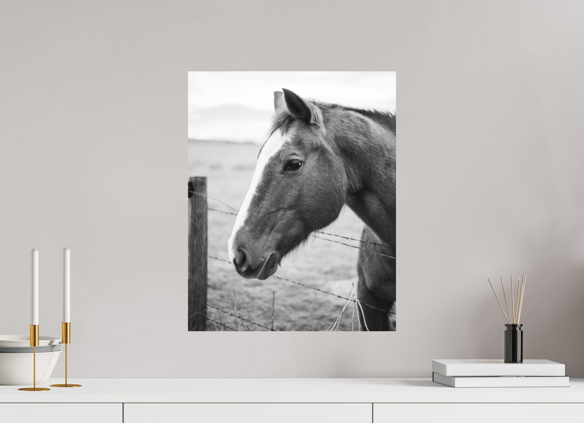 16 x 20″, No Frame - Matte The Calm Before the Horse