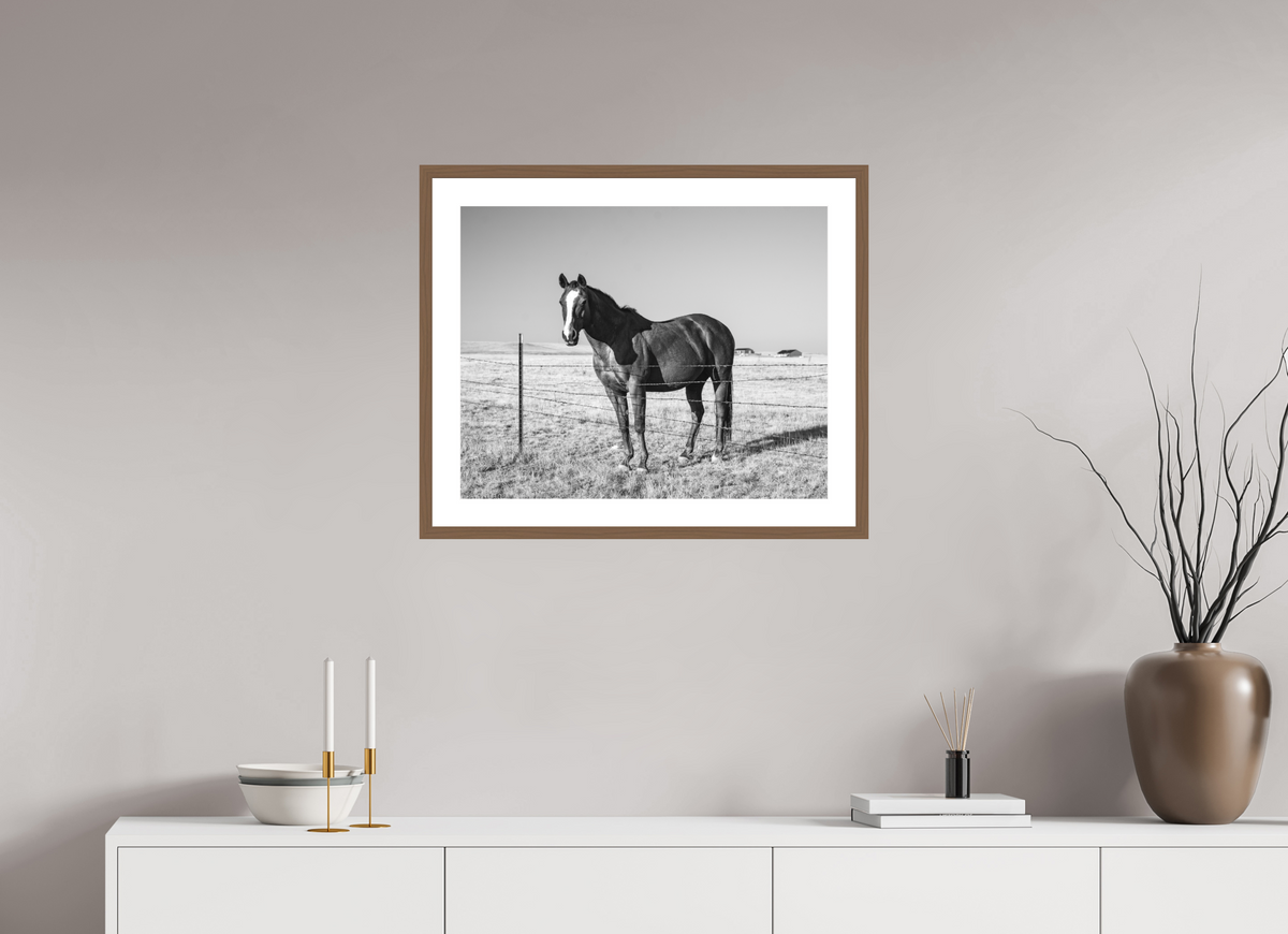 25 x 20″, Walnut - Matte Quarter Horse