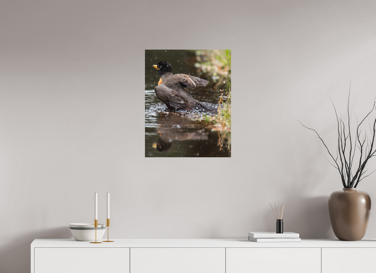 20 x 25″, No Frame - Matte The American Robin