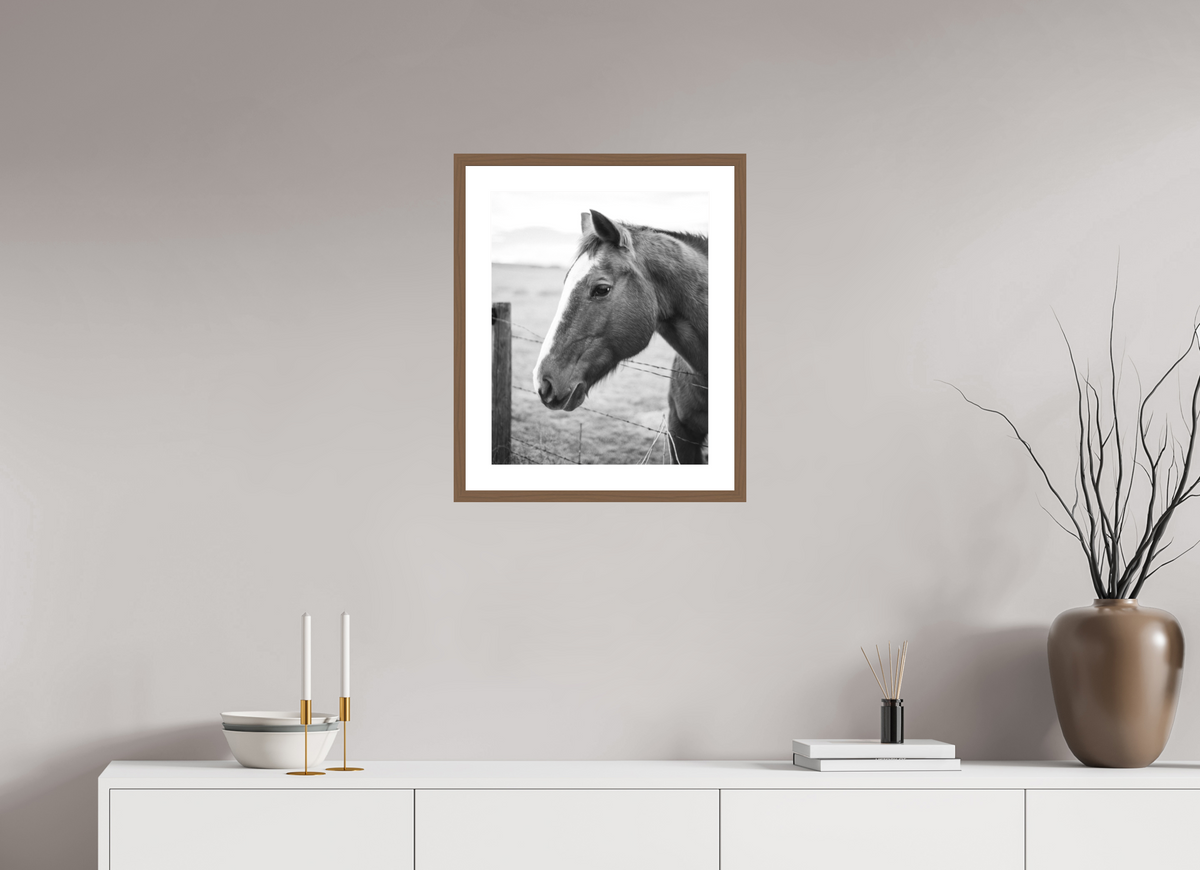16 x 20″, Walnut - Matte The Calm Before the Horse