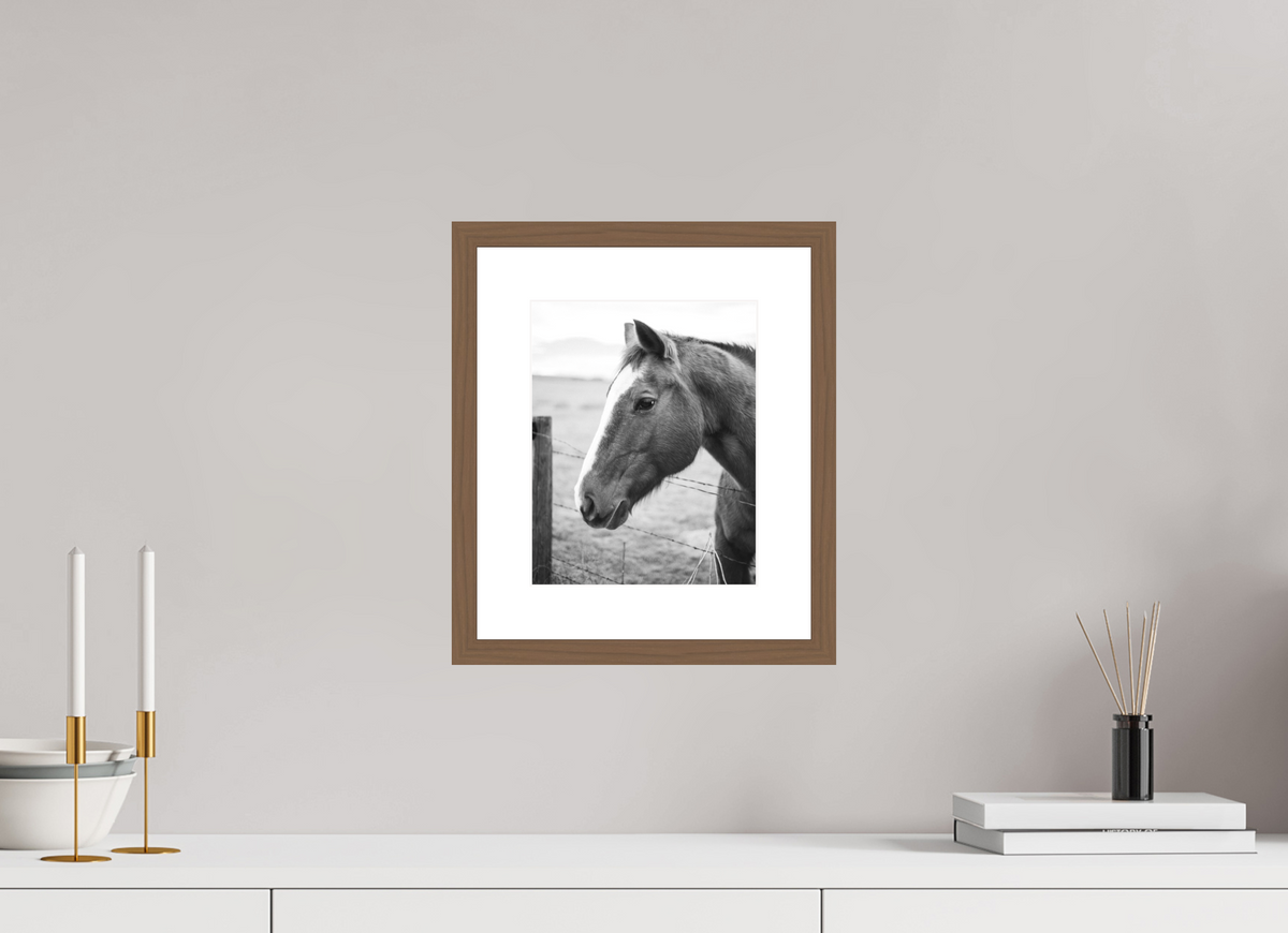 8 x 10″, Walnut - Matte The Calm Before the Horse