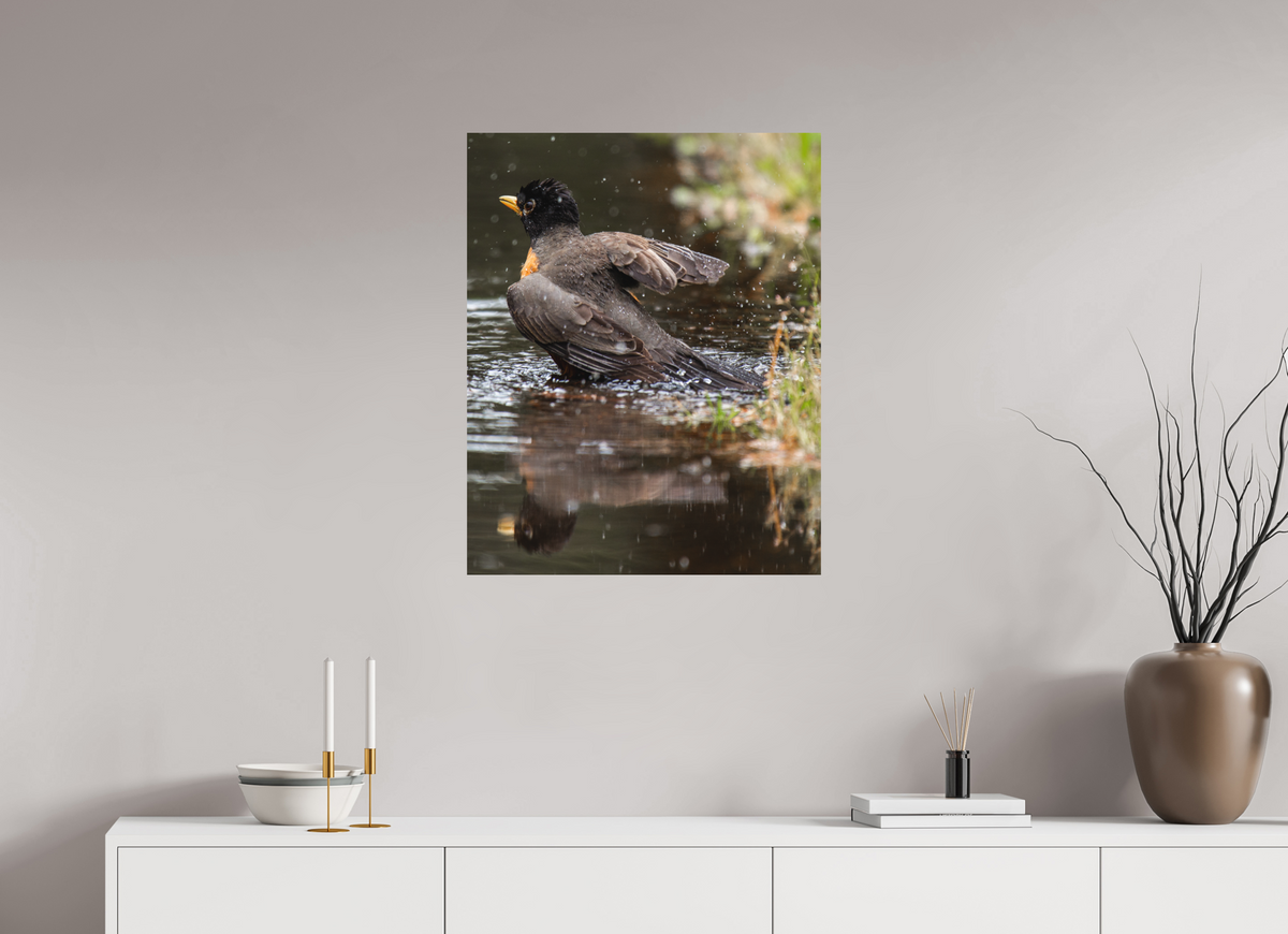 24 x 30″, No Frame - Matte The American Robin