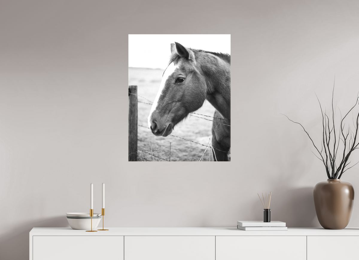 24 x 30″, Canvas The Calm Before the Horse