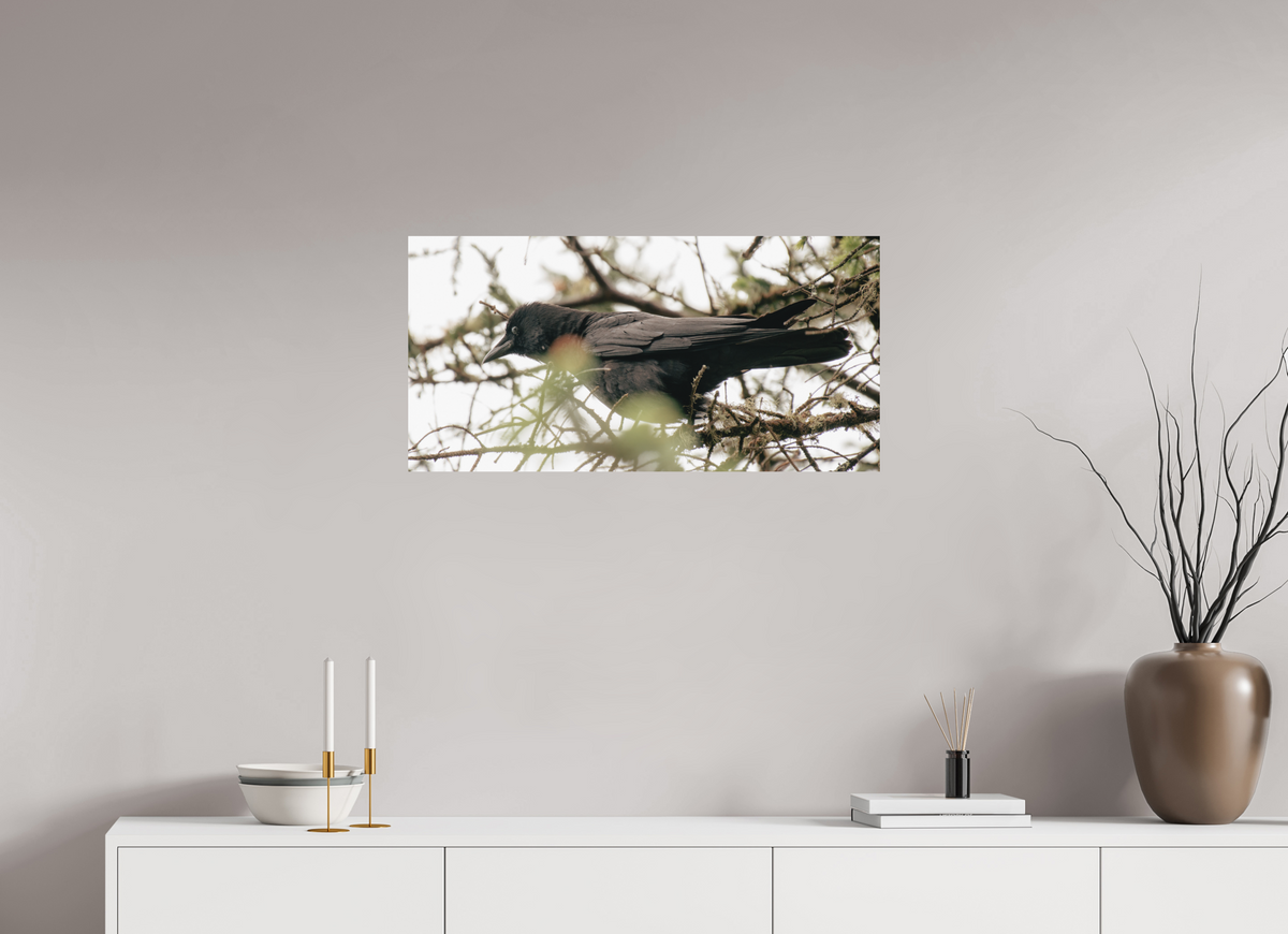 32 x 16″, No Frame - Matte Just a Crow