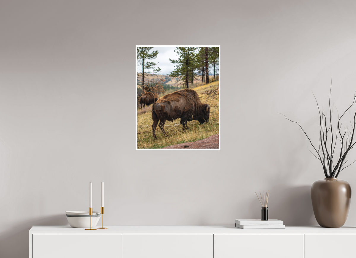 20 x 25″, No Frame - Matte - White Edge Bison & Co
