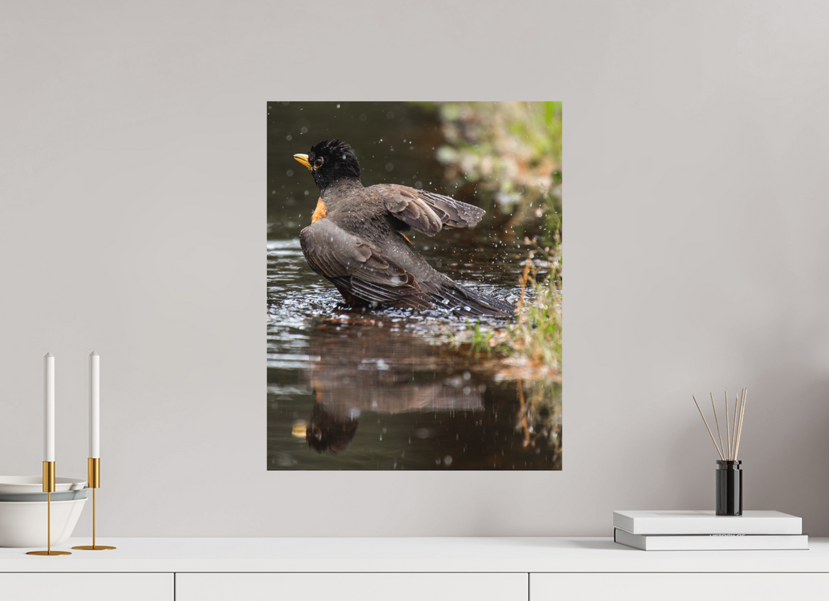 16 x 20″, No Frame - Matte The American Robin