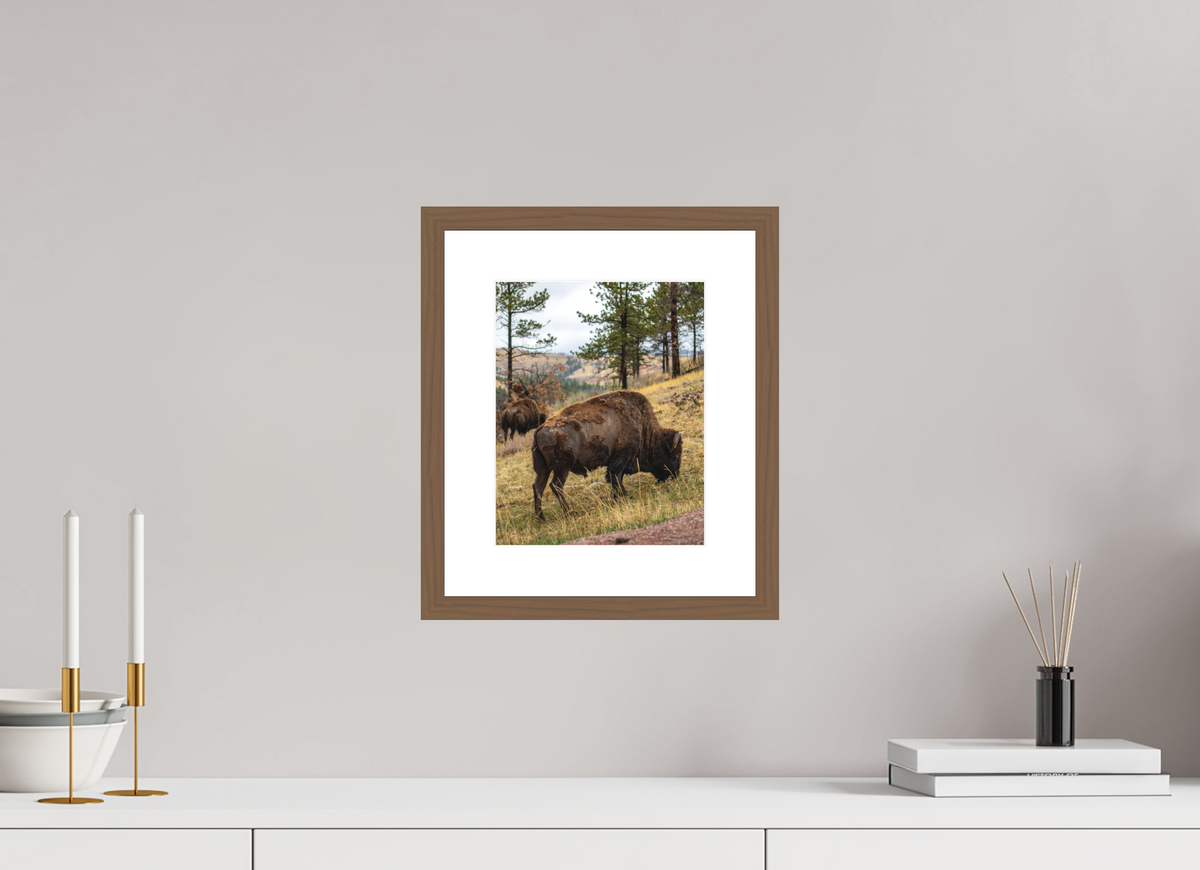 8 x 10″, Walnut - Matte Bison & Co
