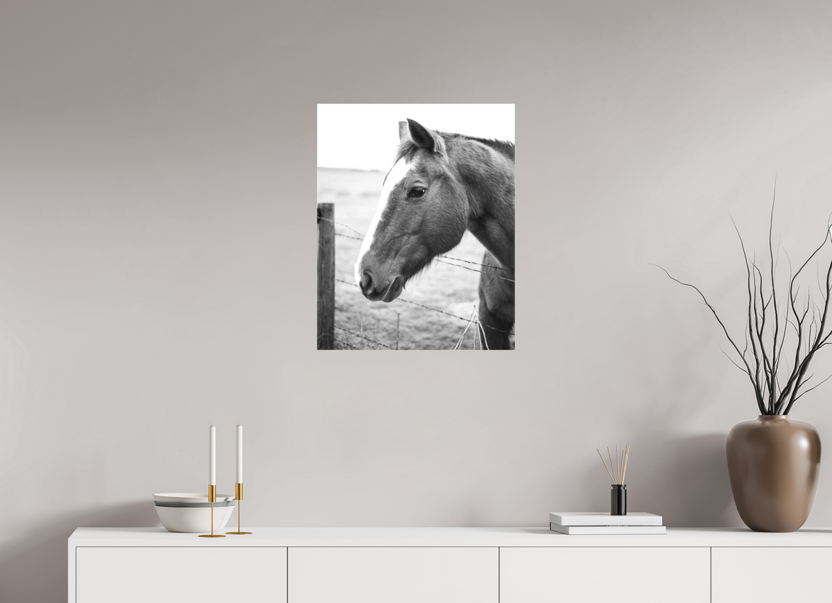 20 x 25″, Canvas The Calm Before the Horse