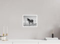 10 x 8″, No Frame - Matte - White Edge Quarter Horse