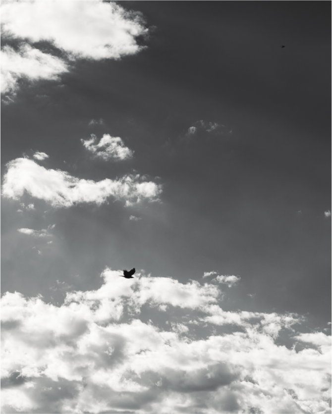 Main image Open Skies