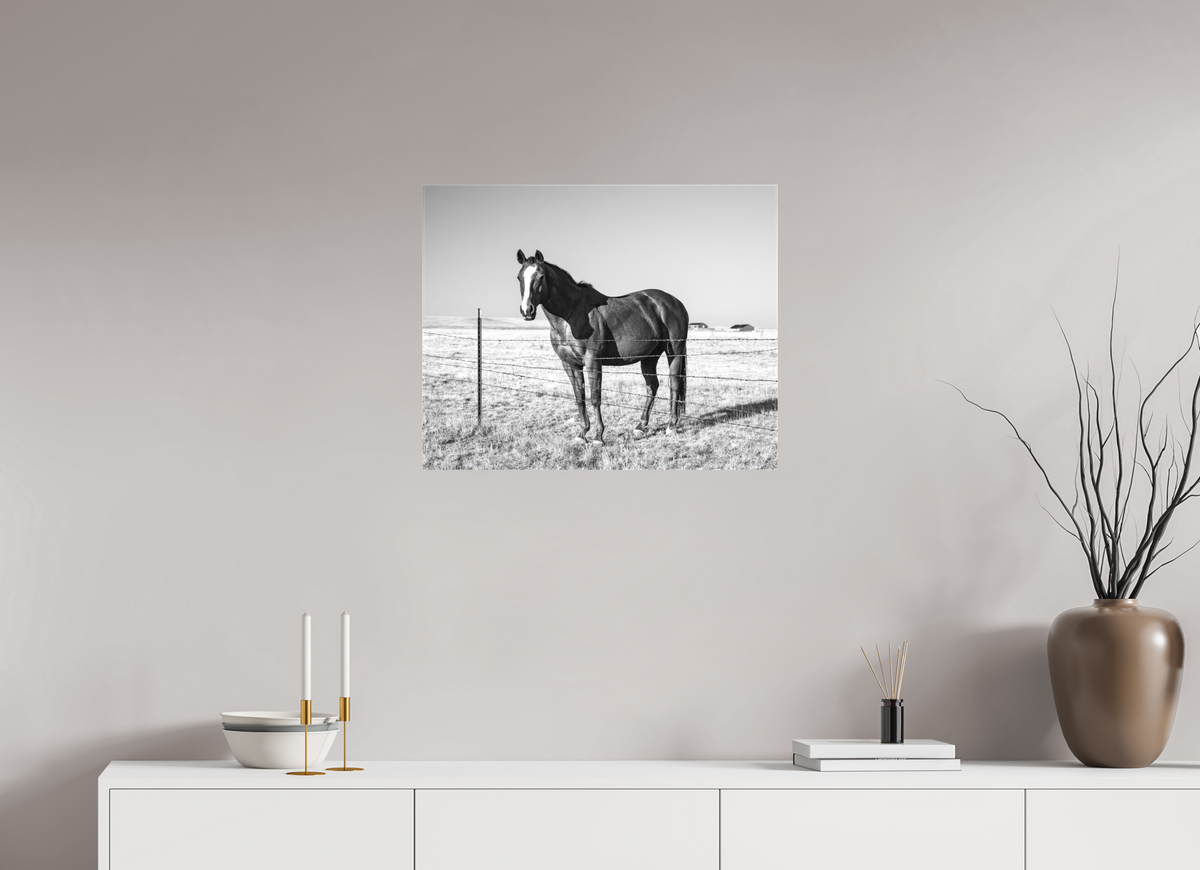 25 x 20″, Canvas Quarter Horse