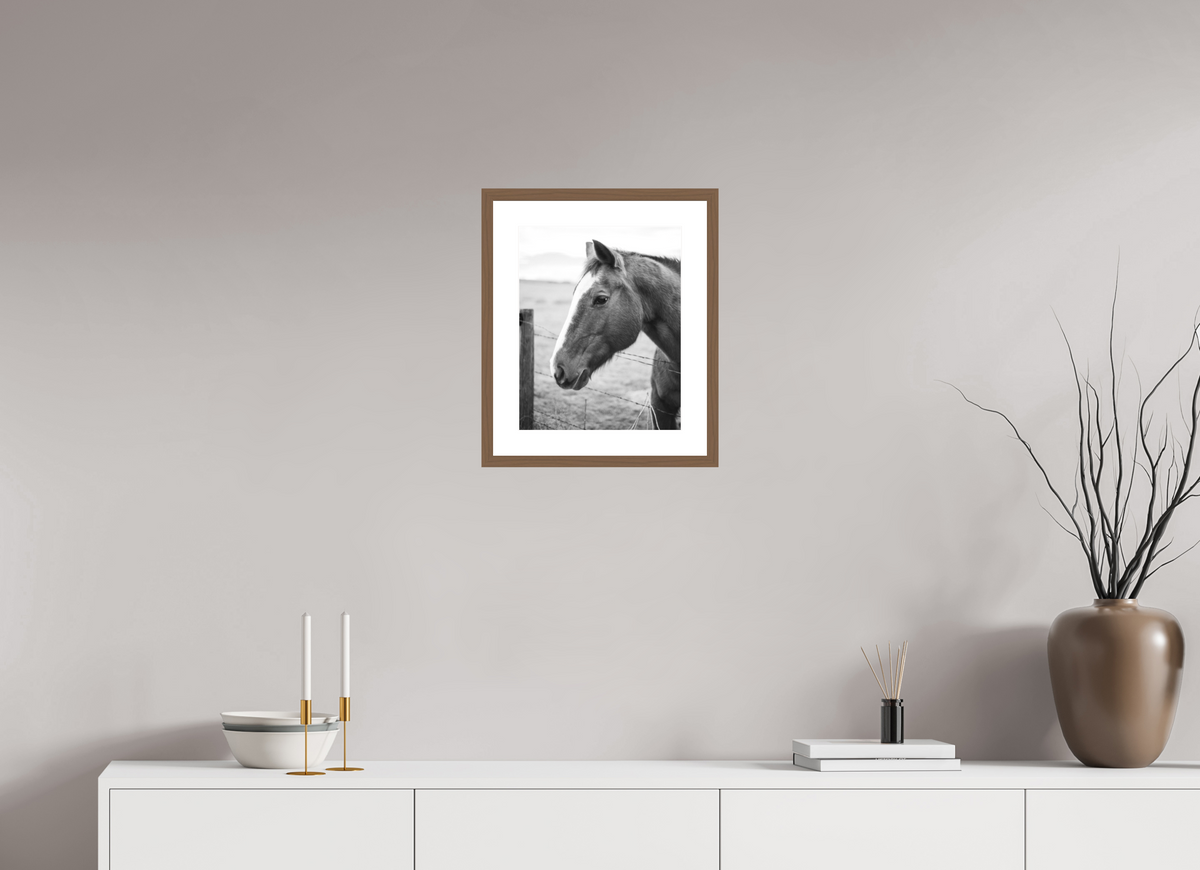 12 x 15″, Walnut - Matte The Calm Before the Horse