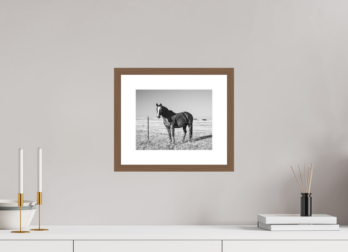 10 x 8″, Walnut - Matte Quarter Horse
