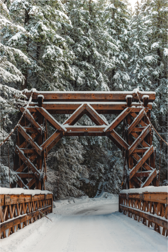 Main image Winter at Rainier