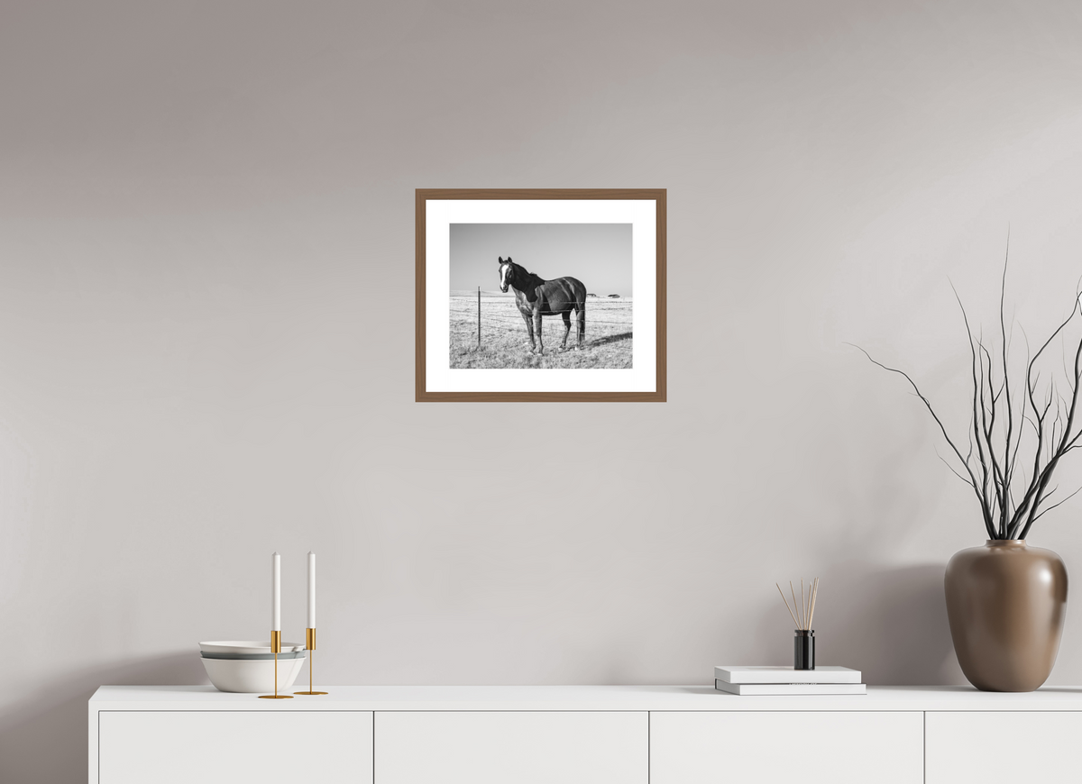 15 x 12″, Walnut - Matte Quarter Horse